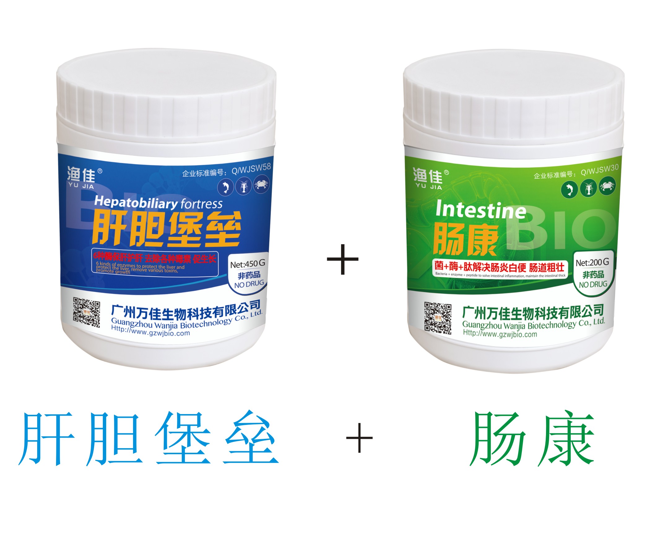 菌+酶+肽 保肝護(hù)腸！